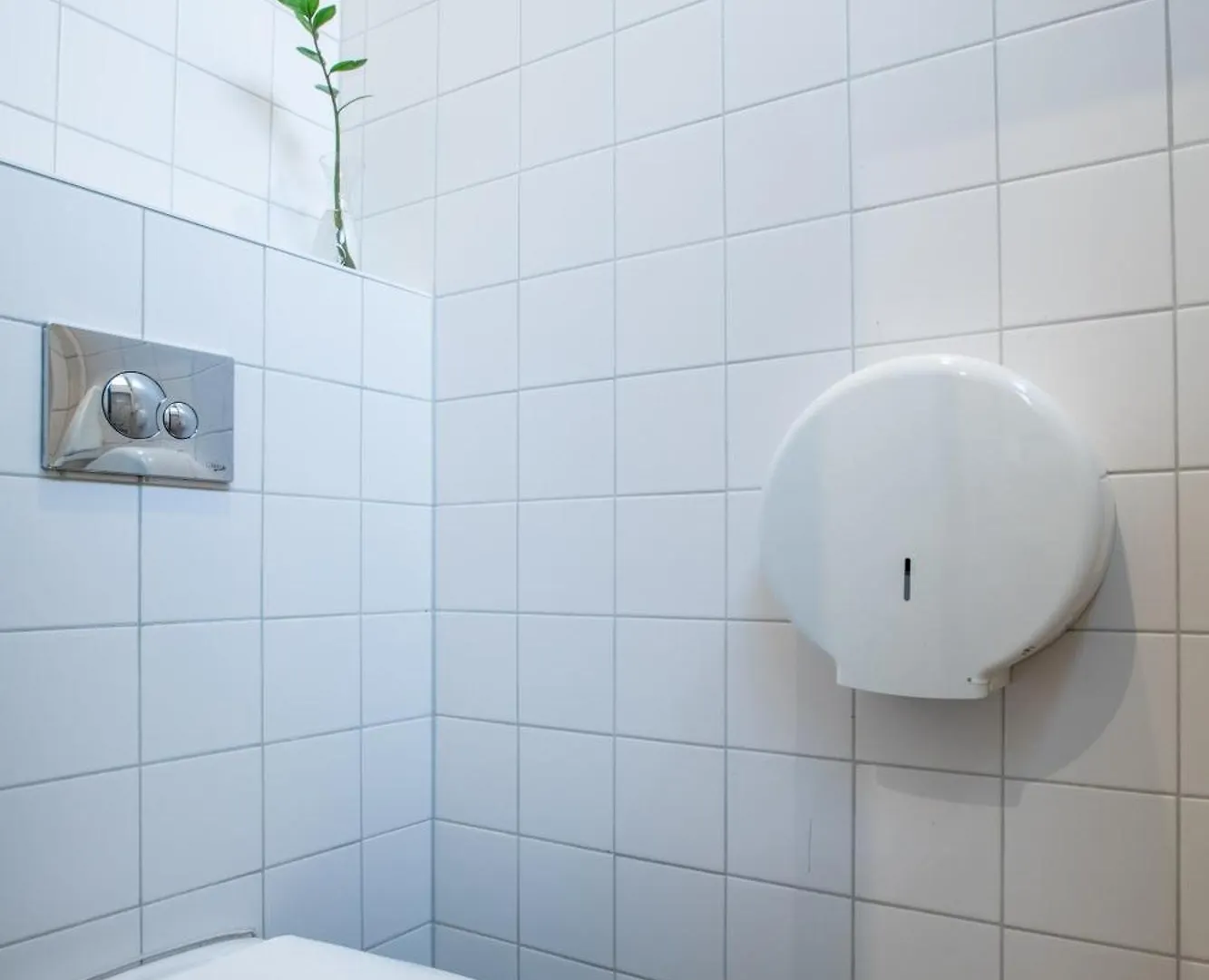 Wallyard Stay Berlin